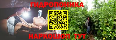 PSILOCYBIN Бердск